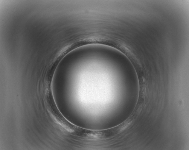 X0000080680164200612221152