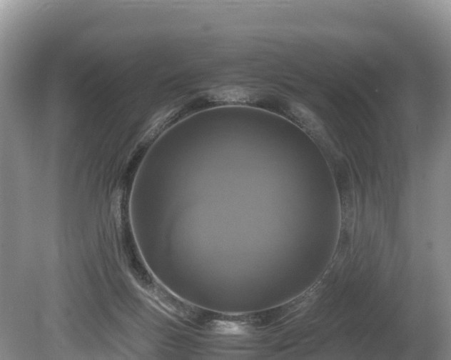 X0000080680167200612221152