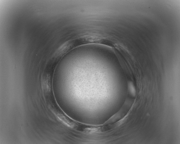 X0000080680170200612221152