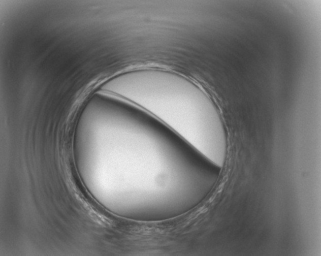 X0000080680193200612221151