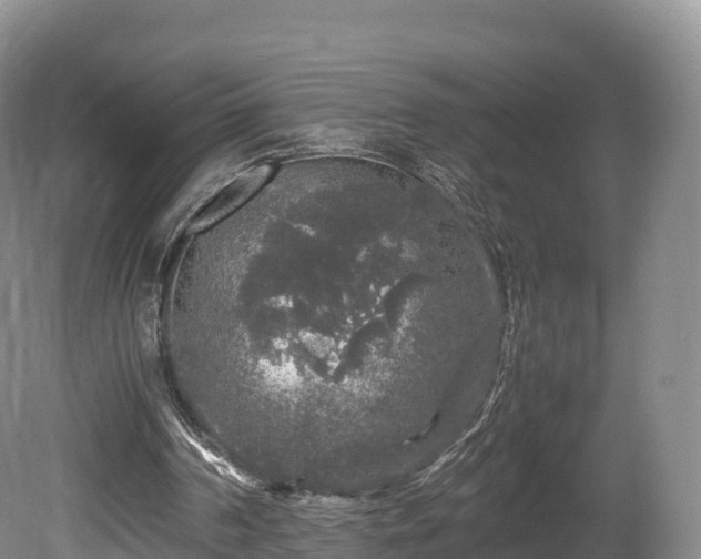 X0000080680194200612221151