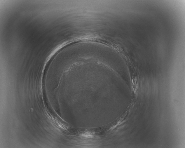 X0000080680196200612221151