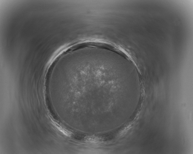 X0000080680199200612221151