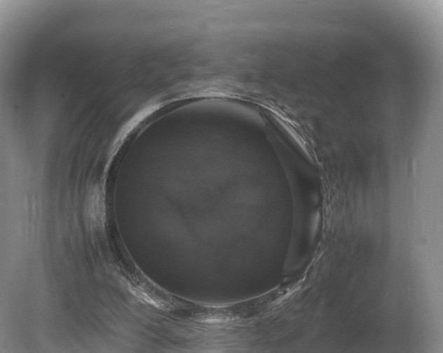 X0000080680200200612221151