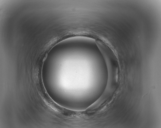 X0000080680201200612221151