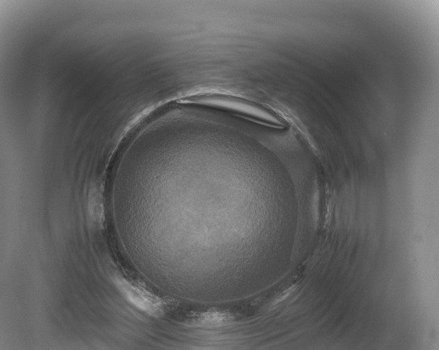 X0000080680204200612221151