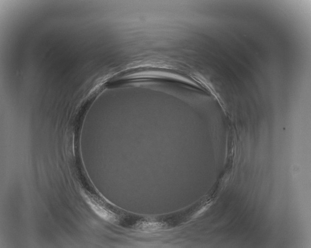 X0000080680205200612221151