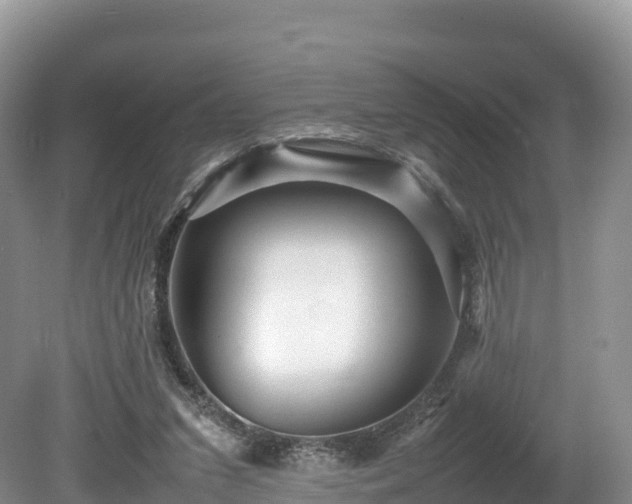 X0000080680207200612221151