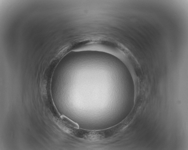 X0000080680209200612221151