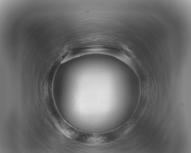 X0000080680213200612221151