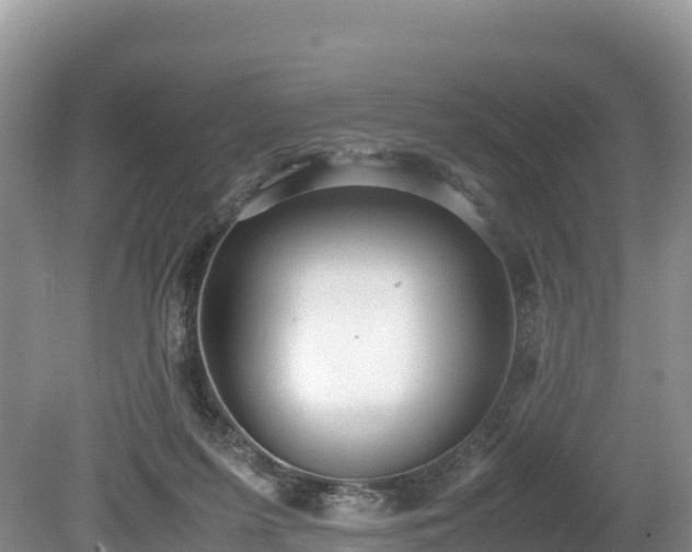 X0000080680215200612221151
