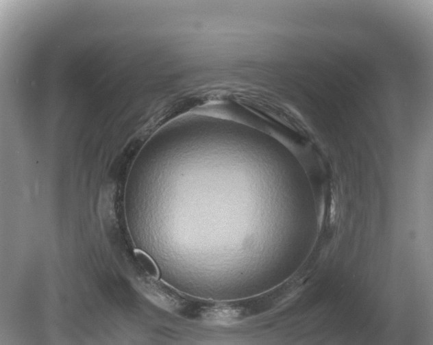 X0000080680217200612221151