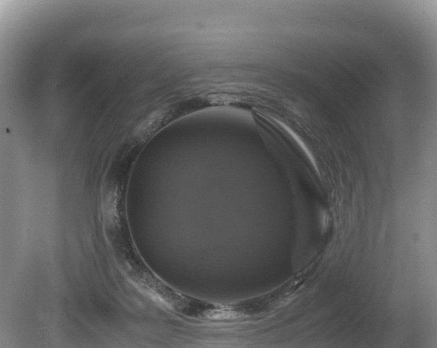 X0000080680219200612221151