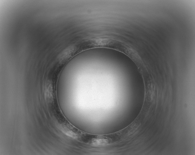 X0000080680220200612221151
