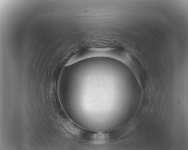 X0000080680225200612221151