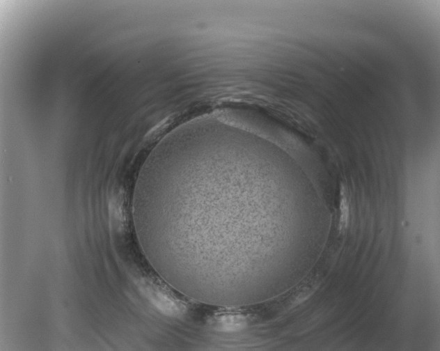 X0000080680228200612221151