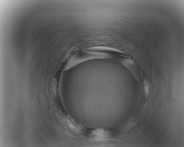X0000080680231200612221151