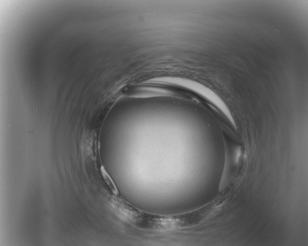 X0000080680233200612221151