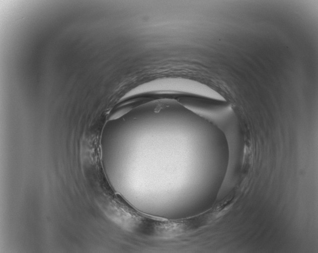 X0000080680237200612221151