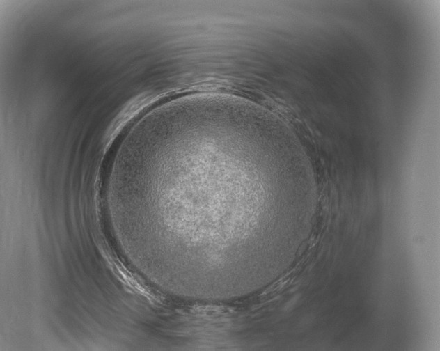 X0000080680242200612221150
