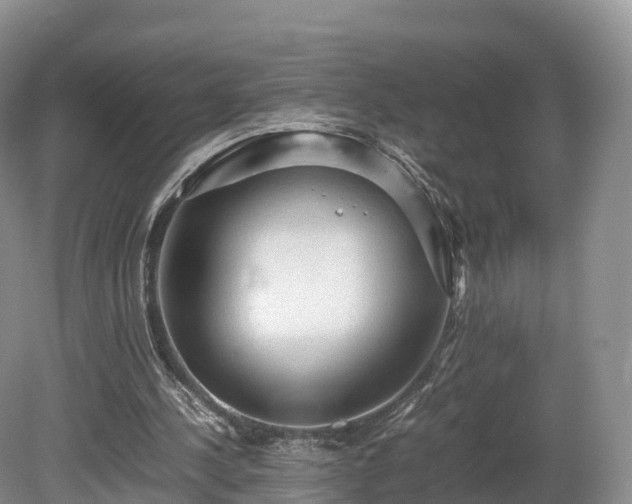 X0000080680244200612221150