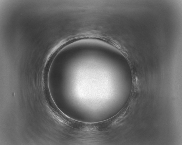 X0000080680248200612221150