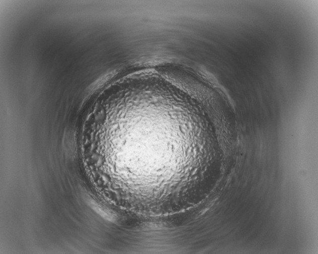 X0000080680250200612221150