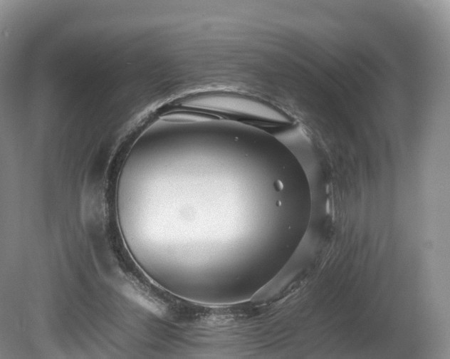 X0000080680252200612221150
