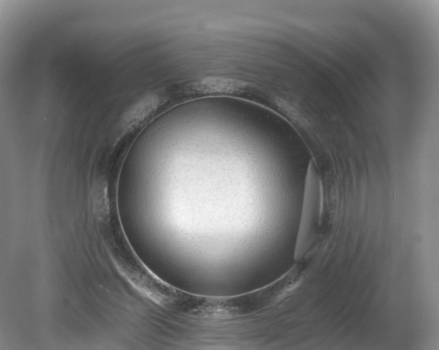 X0000080680254200612221150