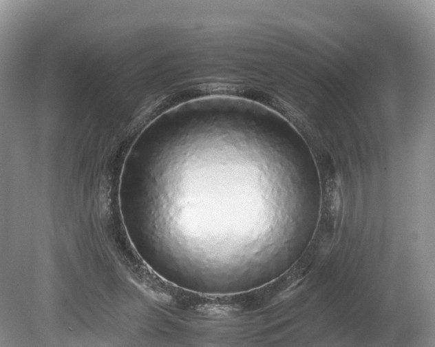 X0000080680255200612221150