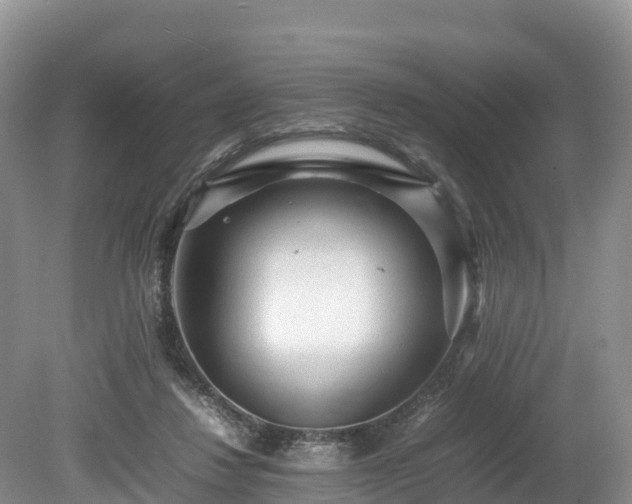 X0000080680260200612221150