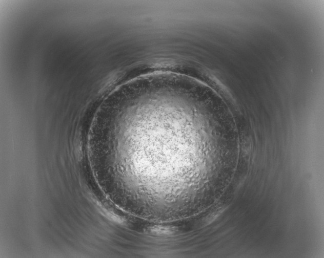 X0000080680261200612221150