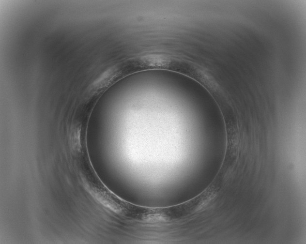 X0000080680262200612221150
