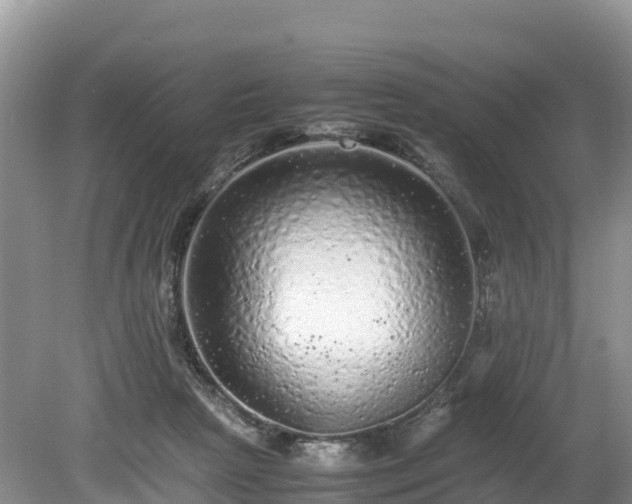 X0000080680265200612221150