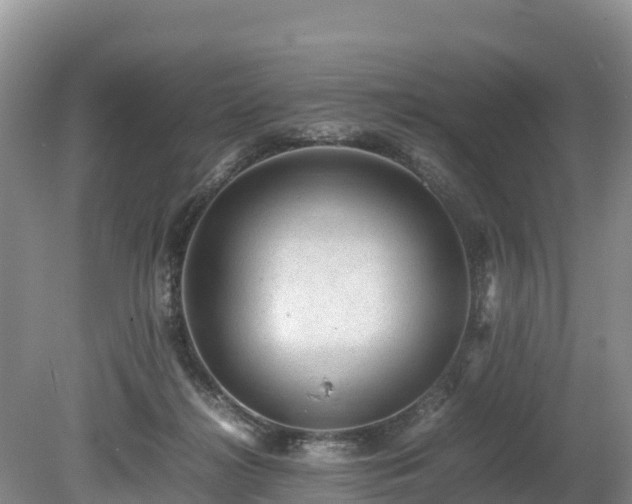 X0000080680268200612221150