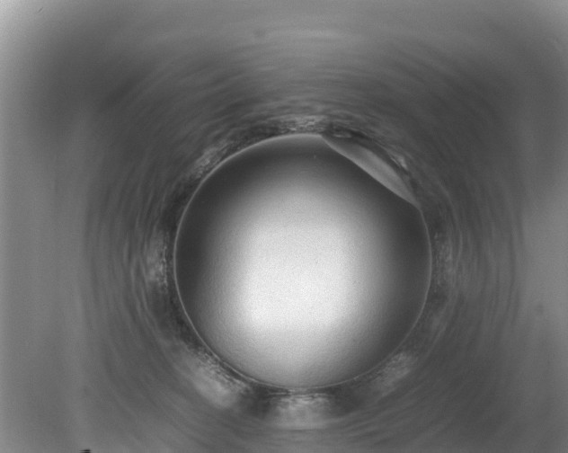 X0000080680274200612221150