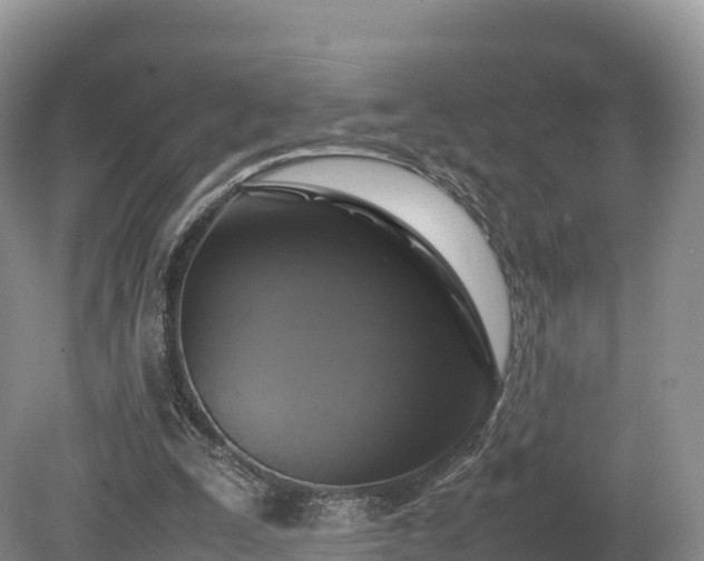 X0000080680295200612221150