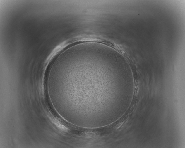 X0000080680296200612221150