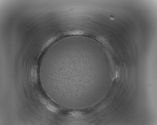 X0000080680300200612221149