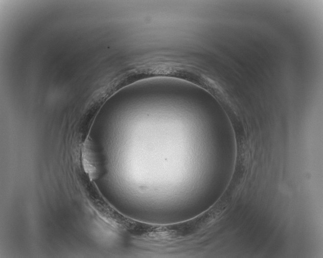 X0000080680307200612221149