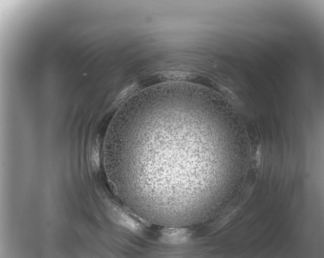 X0000080680334200612221149