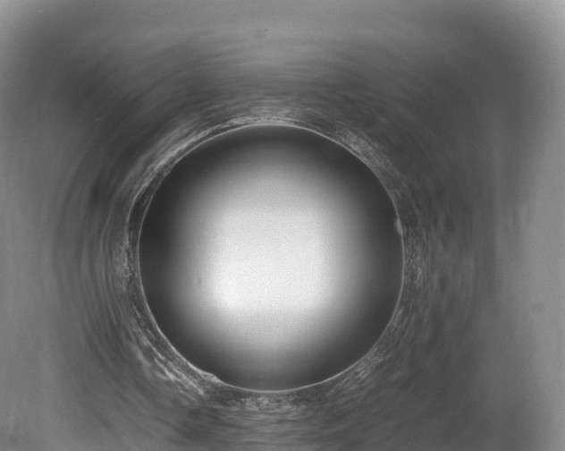 X0000080680338200612221148