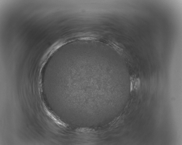 X0000080680339200612221148