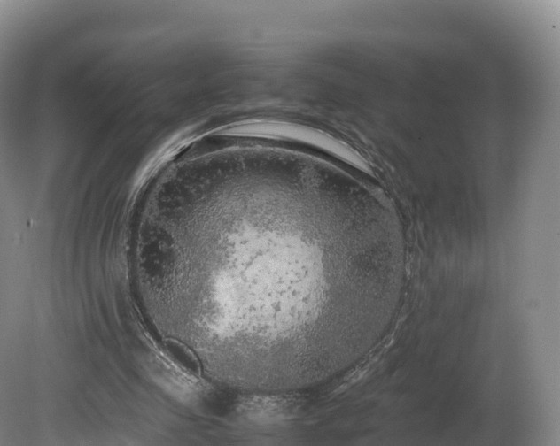 X0000080680341200612221148