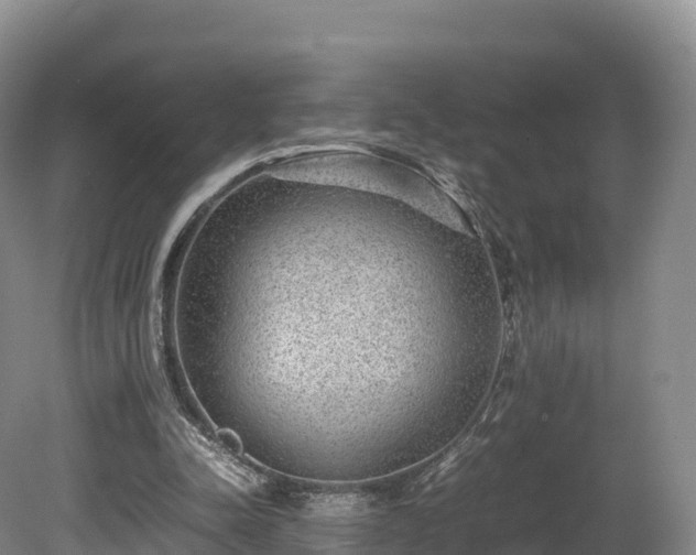 X0000080680342200612221148