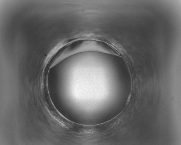 X0000080680344200612221148