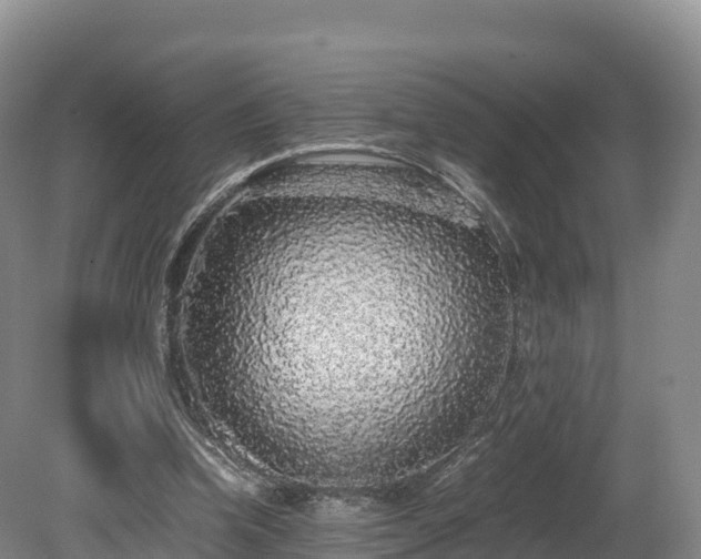 X0000080680346200612221148