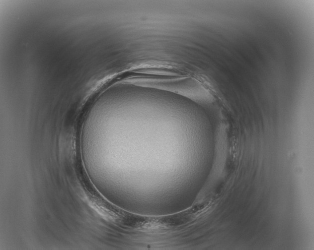 X0000080680348200612221148