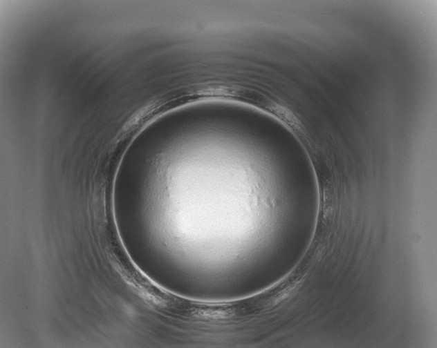 X0000080680349200612221148