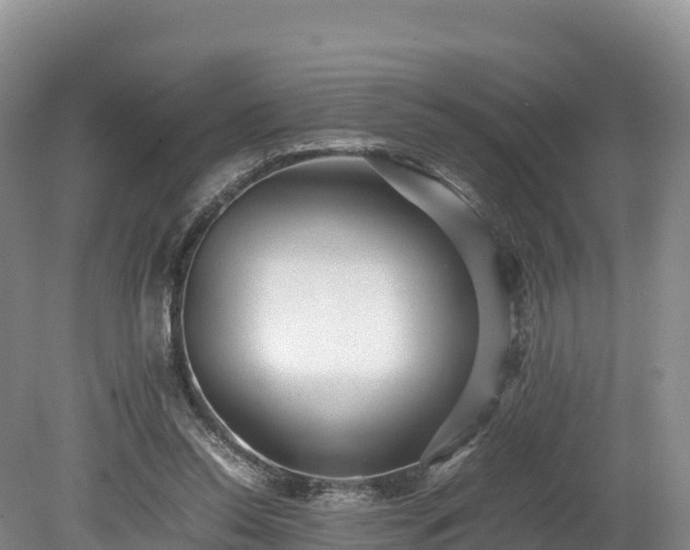 X0000080680350200612221148